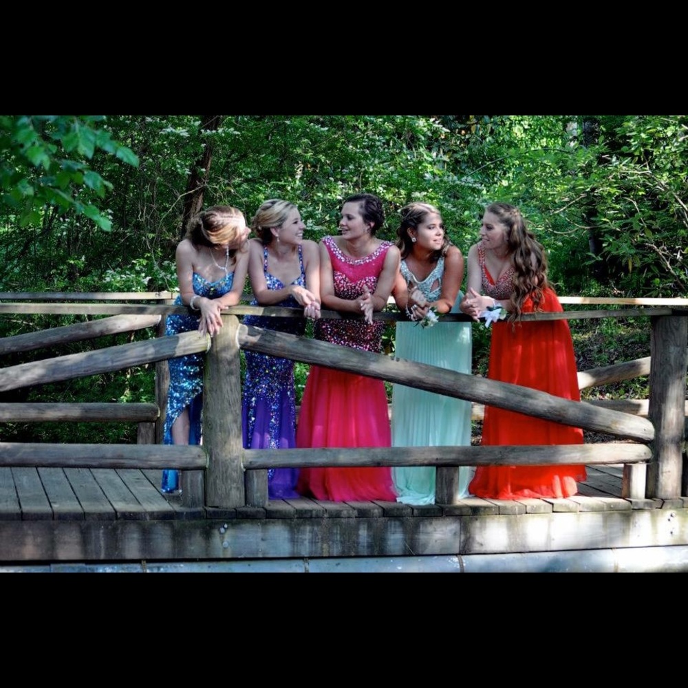 Pink Prom Dress - Picture 4 of 4